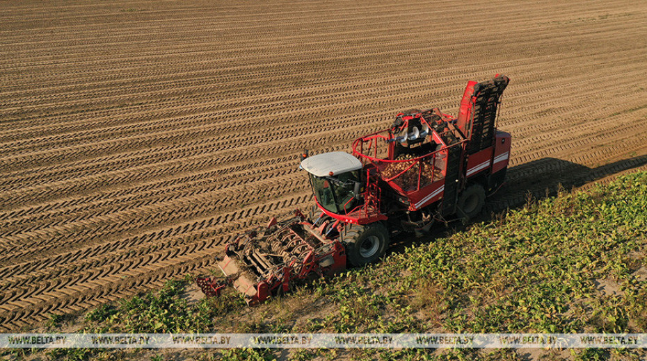 Belarus expected to finish harvesting by 7 November