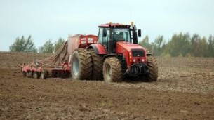 Winter sowing nearing completion in Belarus
