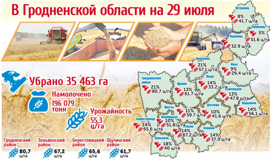 Карта урожайности в Гродненской области на 29 июля (инфографика)